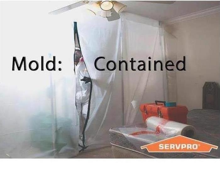 Picture of a containment wall with the words across it saying "Mold Contained"